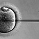 Illustration for article titled Another Reason Why Freezing Employees Eggs Is A Terrible Idea